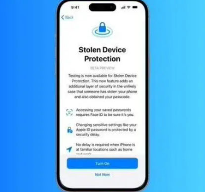 新昌苹果授权维修店分享被盗设备保护功能开启方法 