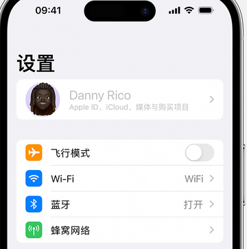 新昌appleID维修服务iPhone设置中Apple ID显示为灰色无法使用