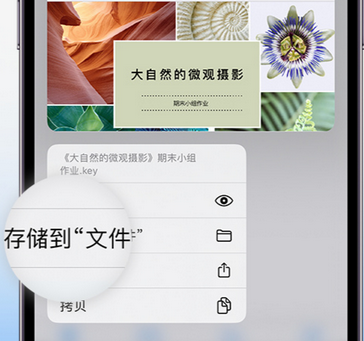 新昌apple维修中心分享iPhone文件应用中存储和找到下载文件