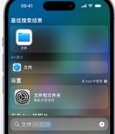 新昌apple维修中心分享iPhone文件应用中存储和找到下载文件 