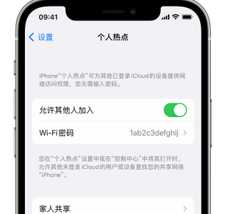 新昌apple服务站点分享iPhone上个人热点丢失了怎么办 