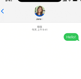 新昌apple维修iPhone上无法正常发送iMessage信息