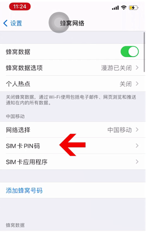 新昌苹果14维修网分享如何给iPhone14的SIM卡设置密码 