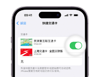 新昌apple维修点分享iPhone上更换Apple Pay快捷交通卡手绘卡面 