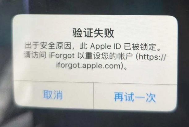 新昌iPhone维修分享iPhone上正常登录或使用AppleID怎么办 