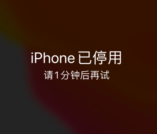 新昌苹果手机维修分享:iPhone 显示“不可用”或“已停用”怎么办？还能保留数据吗？ 