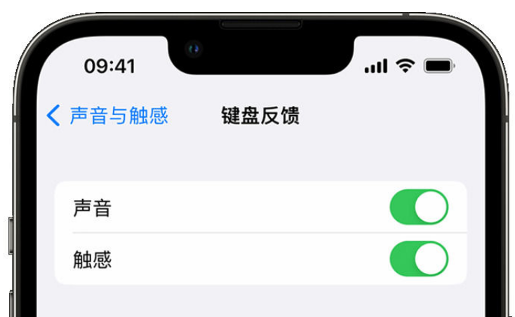 新昌苹果手机维修分享iPhone 14触感键盘使用方法 