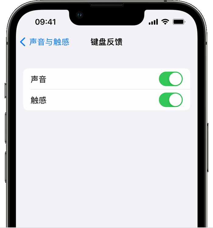 新昌苹果14维修店分享如何在 iPhone 14 机型中使用触感键盘 