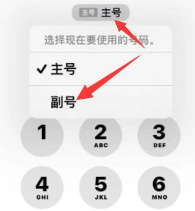 新昌苹果14维修店分享iPhone 14 Pro Max使用副卡打电话的方法 