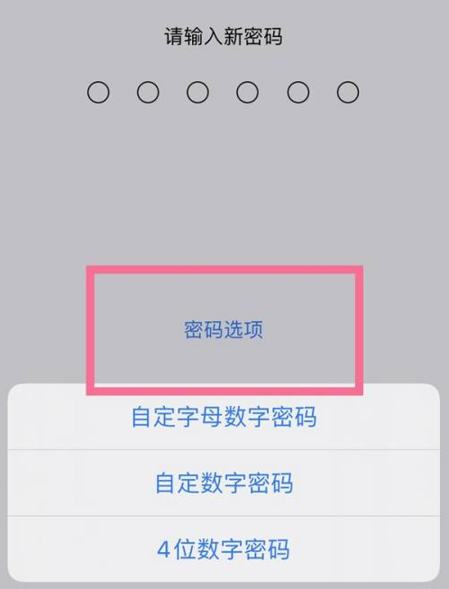 新昌苹果14维修分享iPhone 14plus设置密码的方法 