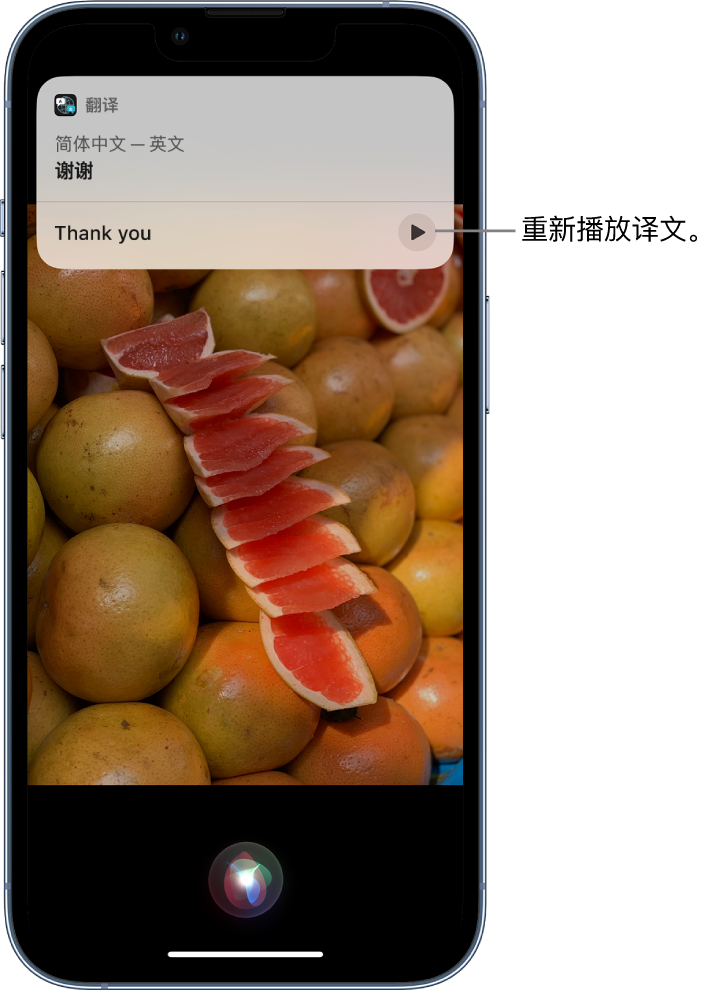 新昌苹果14维修分享 iPhone 14 机型中使用 Siri：了解 Siri 能帮你做什么 