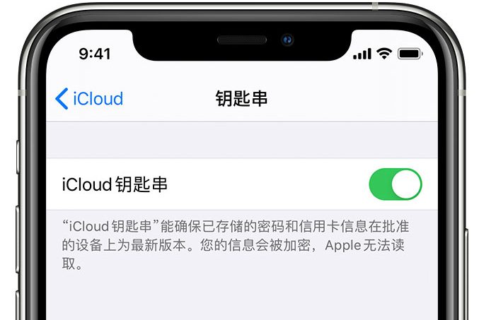 新昌苹果手机维修分享在 iPhone 上开启 iCloud 钥匙串之后会储存哪些信息 