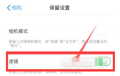 新昌苹果13维修分享iPhone13拍照有绿点是怎么回事 