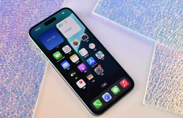 新昌苹果手机维修分享为什么大家不喜欢苹果iPhone 16 Plus 