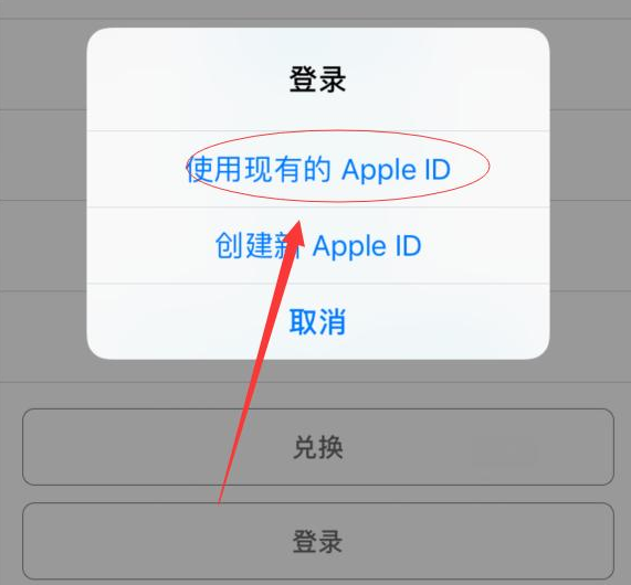 新昌苹果手机维修分享两台iPhone设备可以同时登录一个Apple ID吗 