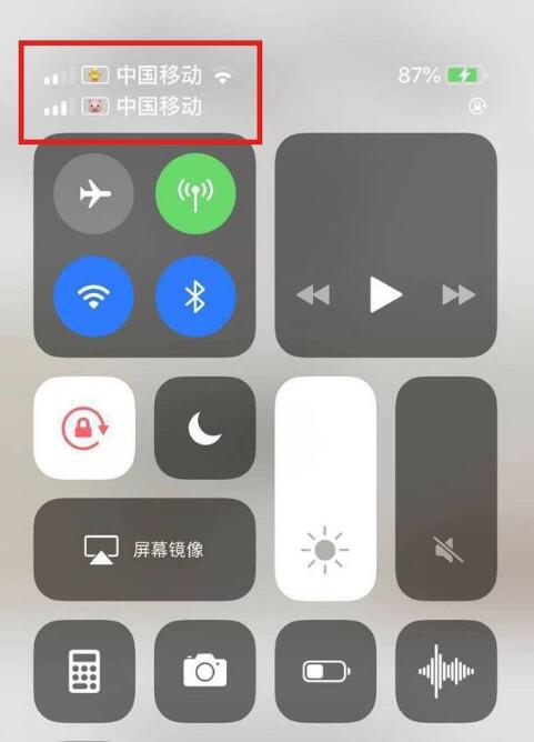 新昌苹果手机维修分享为 iPhone 12 双卡设置标签 